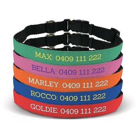 Standard Pet Collar - Medium